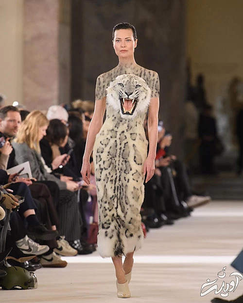 این زنان مشهور در ملاعام تبدیل به گرگ و پلنگ شدند